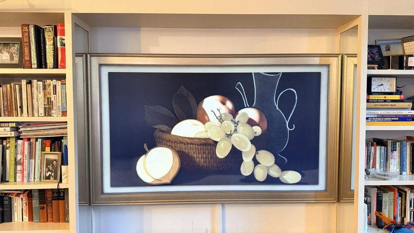 Samsung The Frame TV showing still life painting
