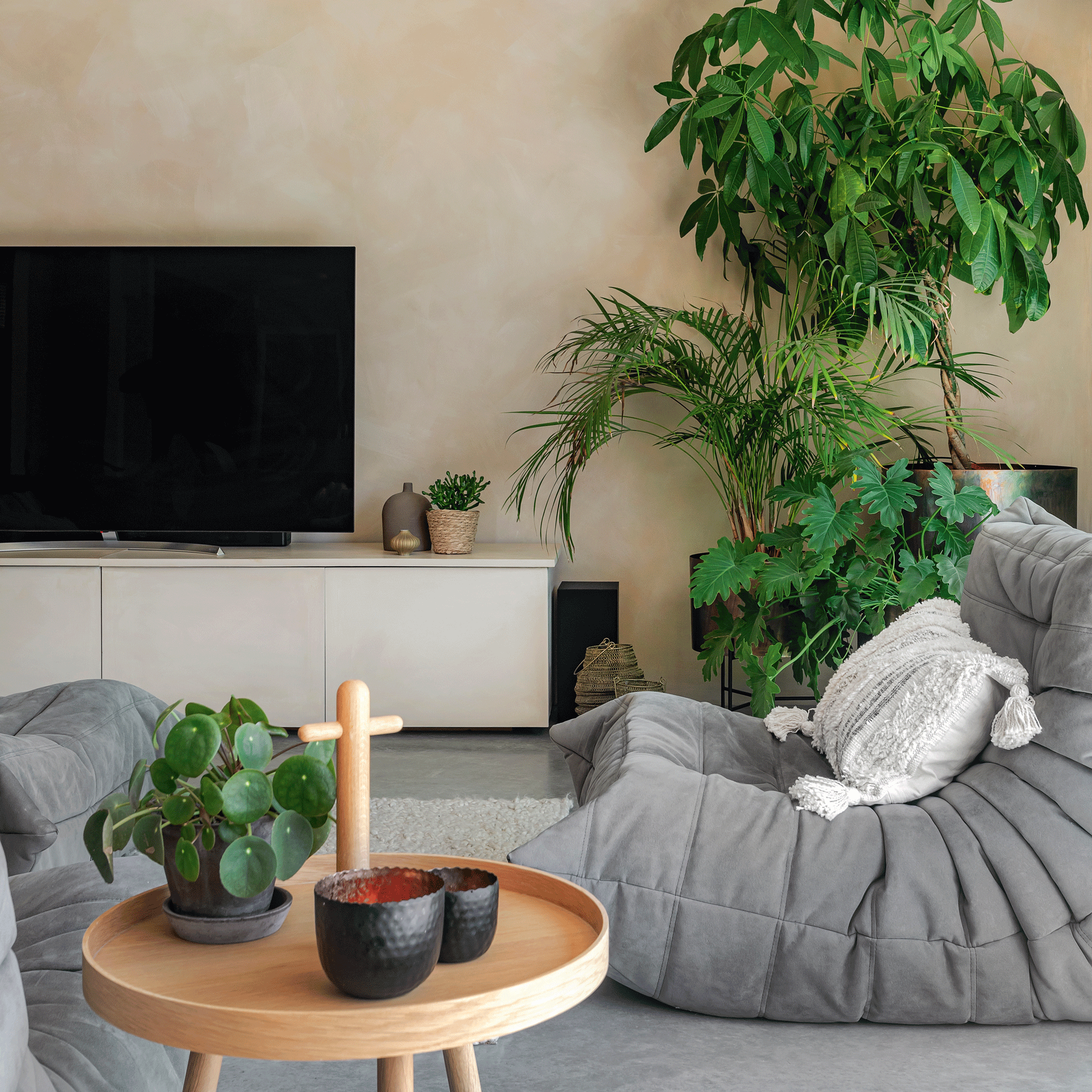 open plan living dining area with a Ligne Roset sofa set in Grey