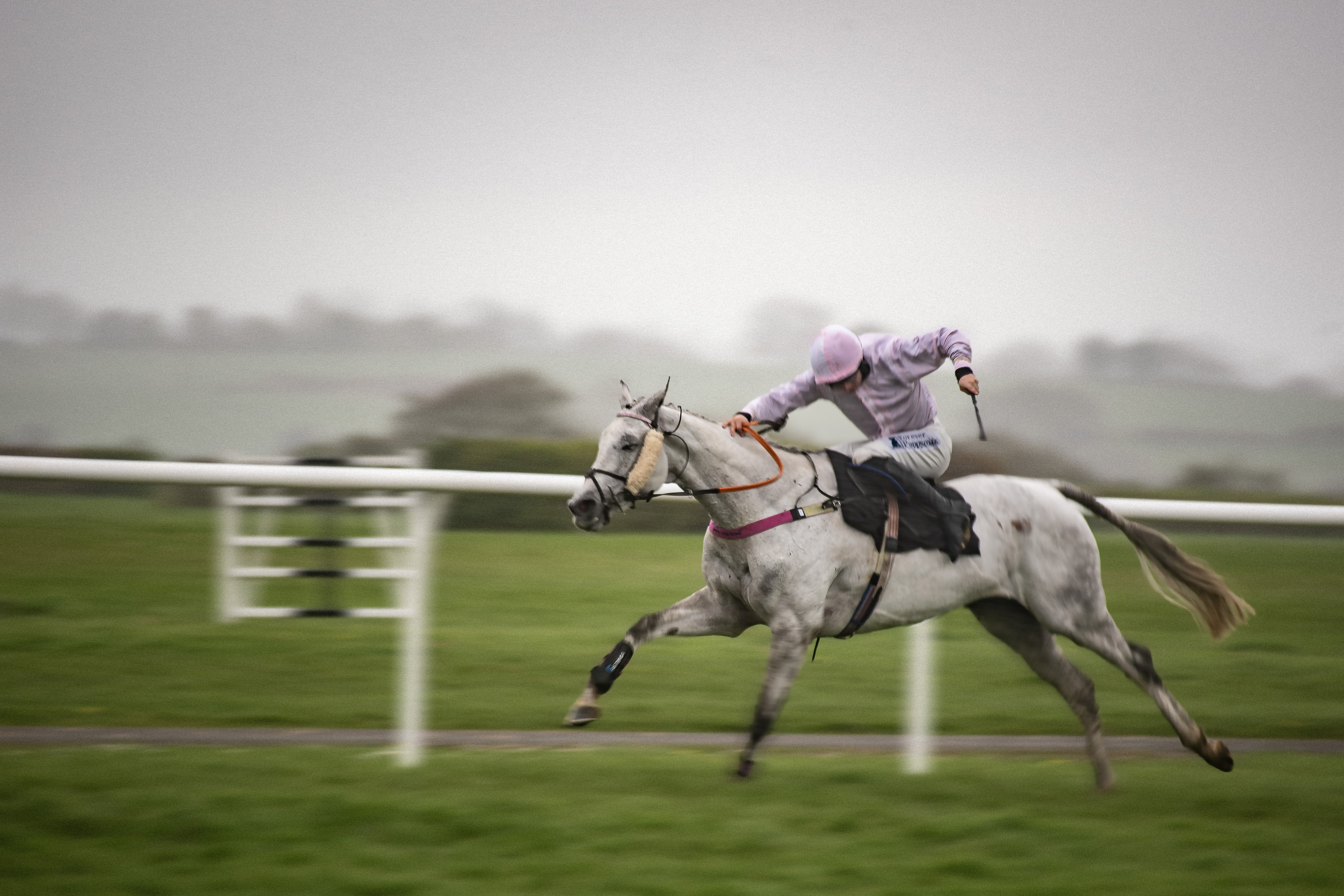 When the horse and rider are nearly parallel, here’s your chance to use a narrower aperture and a slower shutter speed to pan and blur the background.