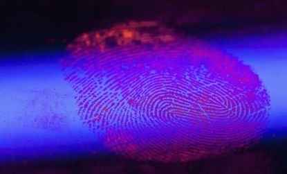 A new fingerprint scanner that uses colored florescent dyes, among other things, can quickly reveal whether a driver is under the influence of drugs.