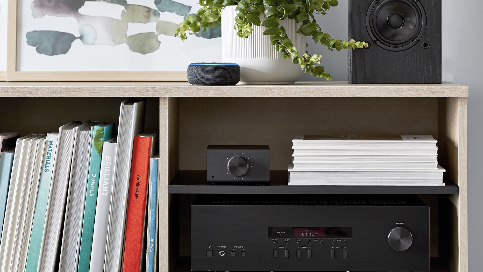 Amazon Echo Link with stereo receiver