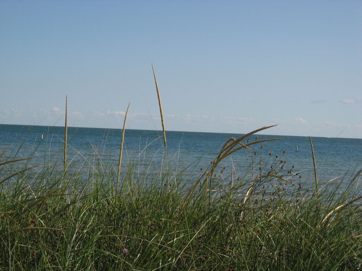 A camping photo taken with the Canon PowerShot A540, a compact camera announced in 2006