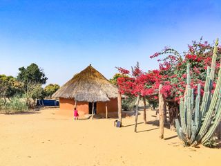 Traditional thatched roof huts, Zimbawbe