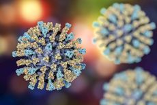 the measles virus