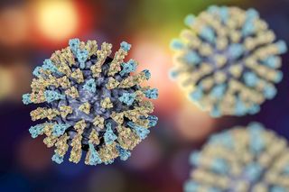 the measles virus