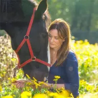 Meditation with horses – from £59 Meditation with horses – from £59
