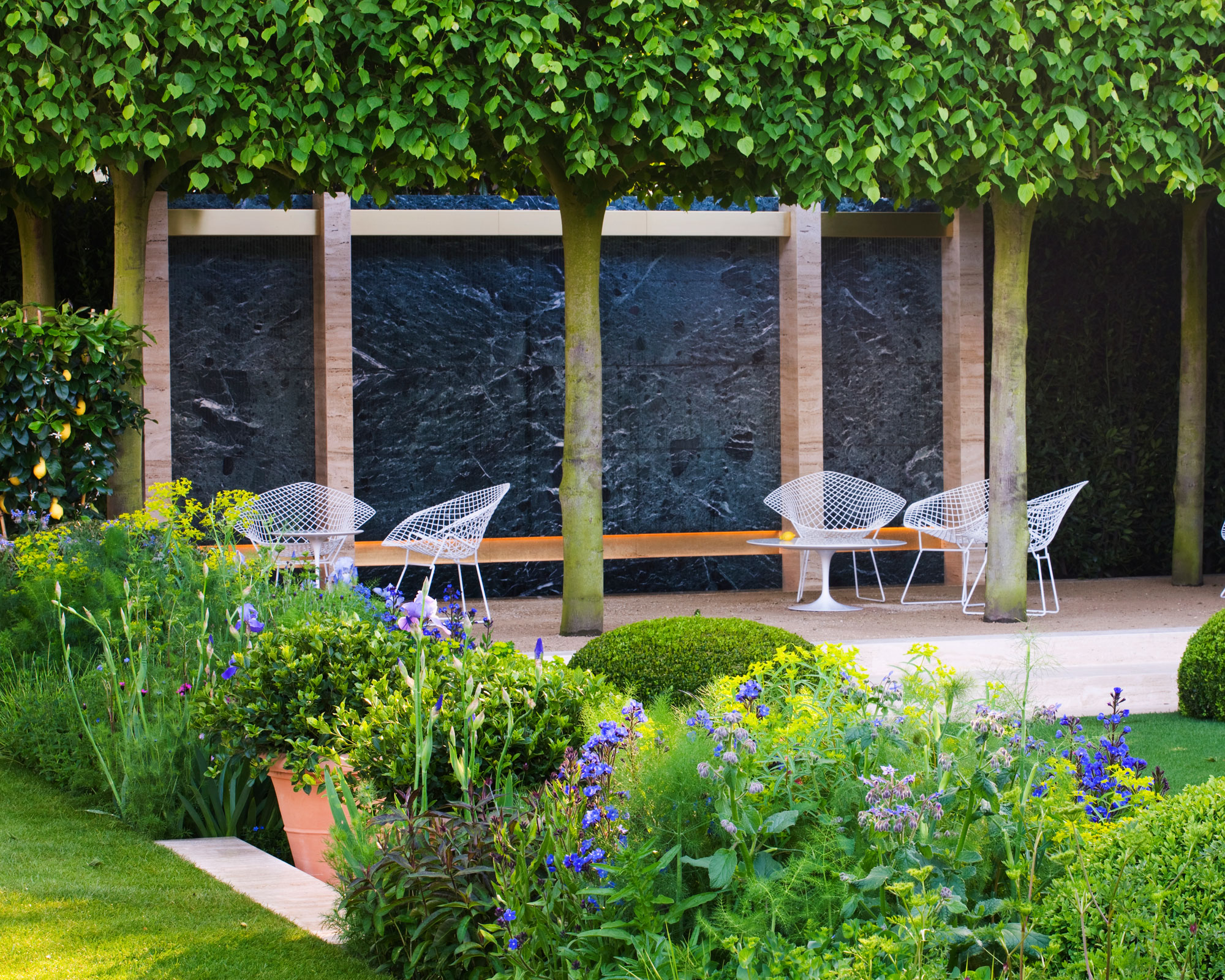 row of pleached trees with patio and chairs, flowerbeds, topiary and lawn