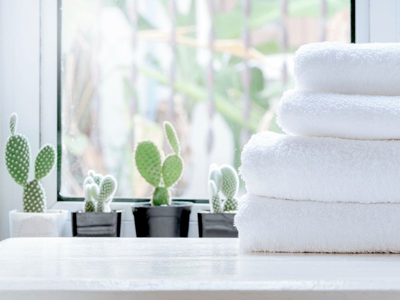 Tiny Potted Succulents In A Bathroom Window