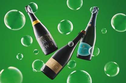 Bottles of English sparkling wine