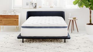 The WinkBed mattress on a bed frame in a bedroom