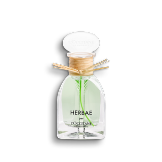 L'Occitane Herbe on white background