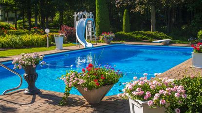 pool with potted plants and slide