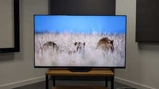 Hisense U8N (65U8N) 75-inch TV from front with lions on screen