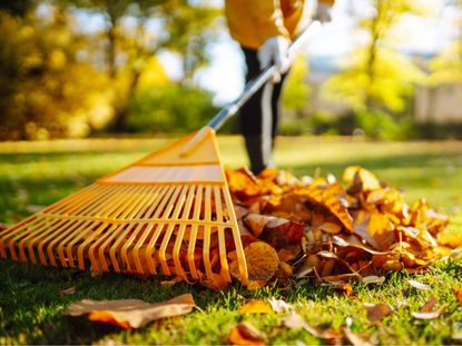What (Not) To Do With Your Garden In The Fall | Gardening Know How