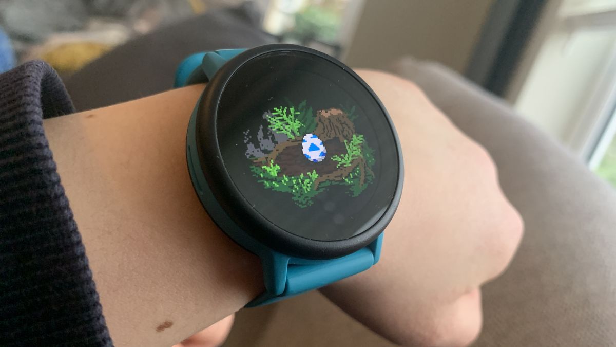 Garmin Bounce 2