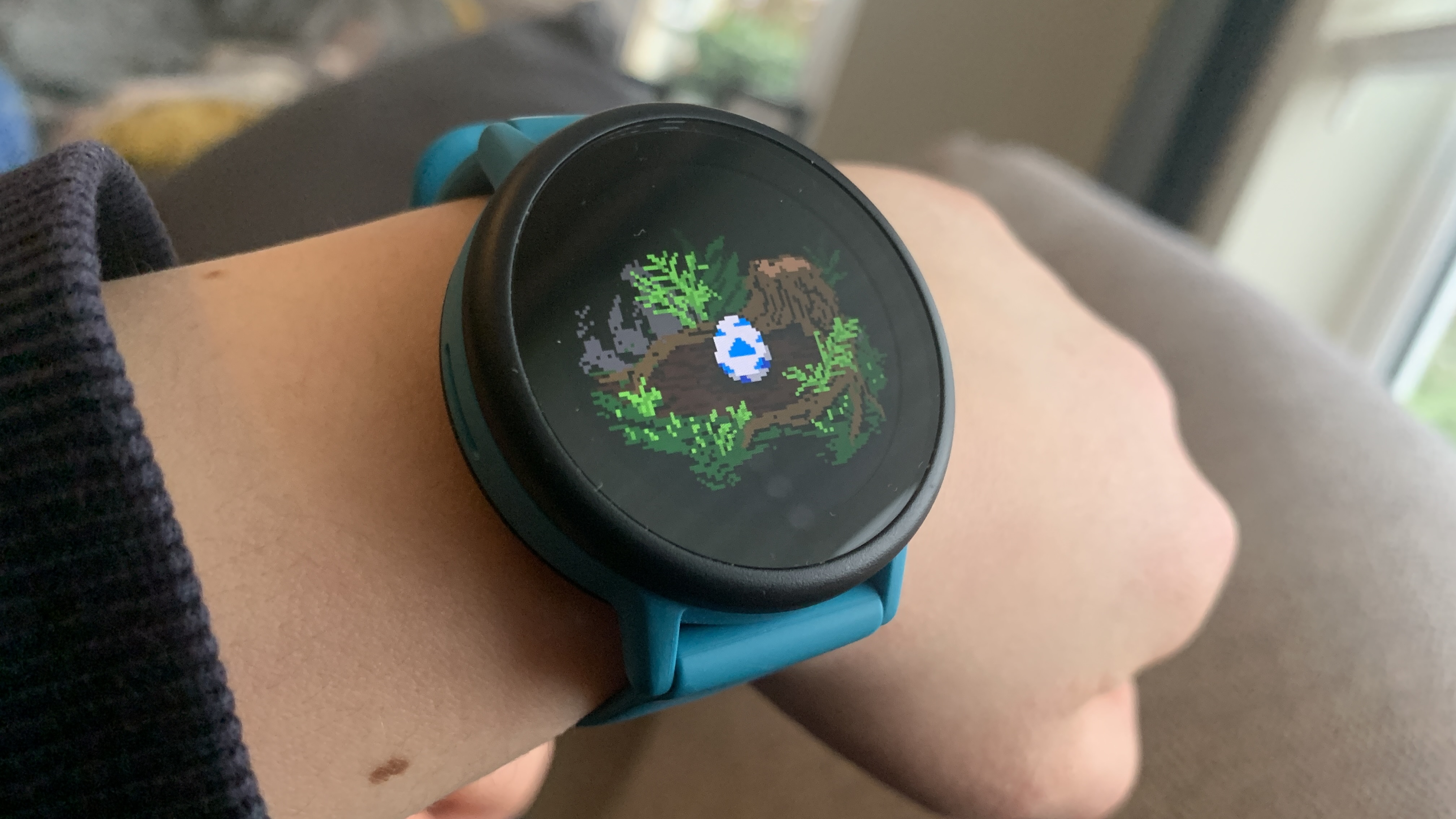 Garmin Bounce 2