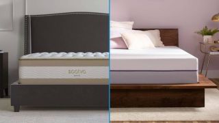 Saatva RX vs Purple Plus mattress comparison image shows the Saatva RX on the left and the Purple Plus on the right
