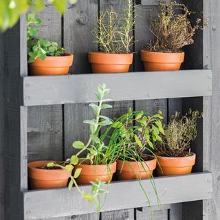 grey pallet with pots