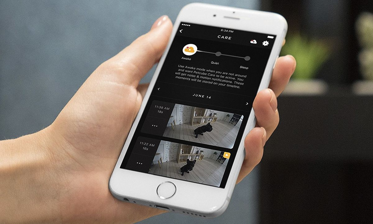 Petcube Bites Review Tom's Guide