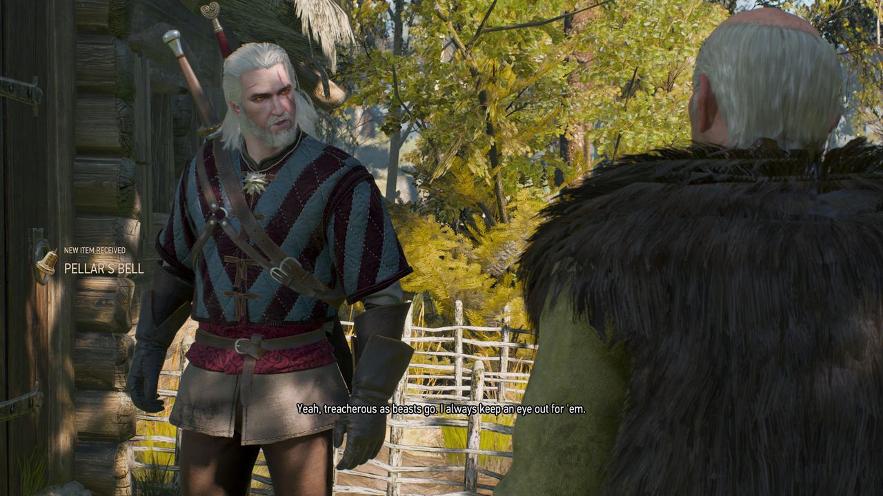 The witcher 3 the pellar
