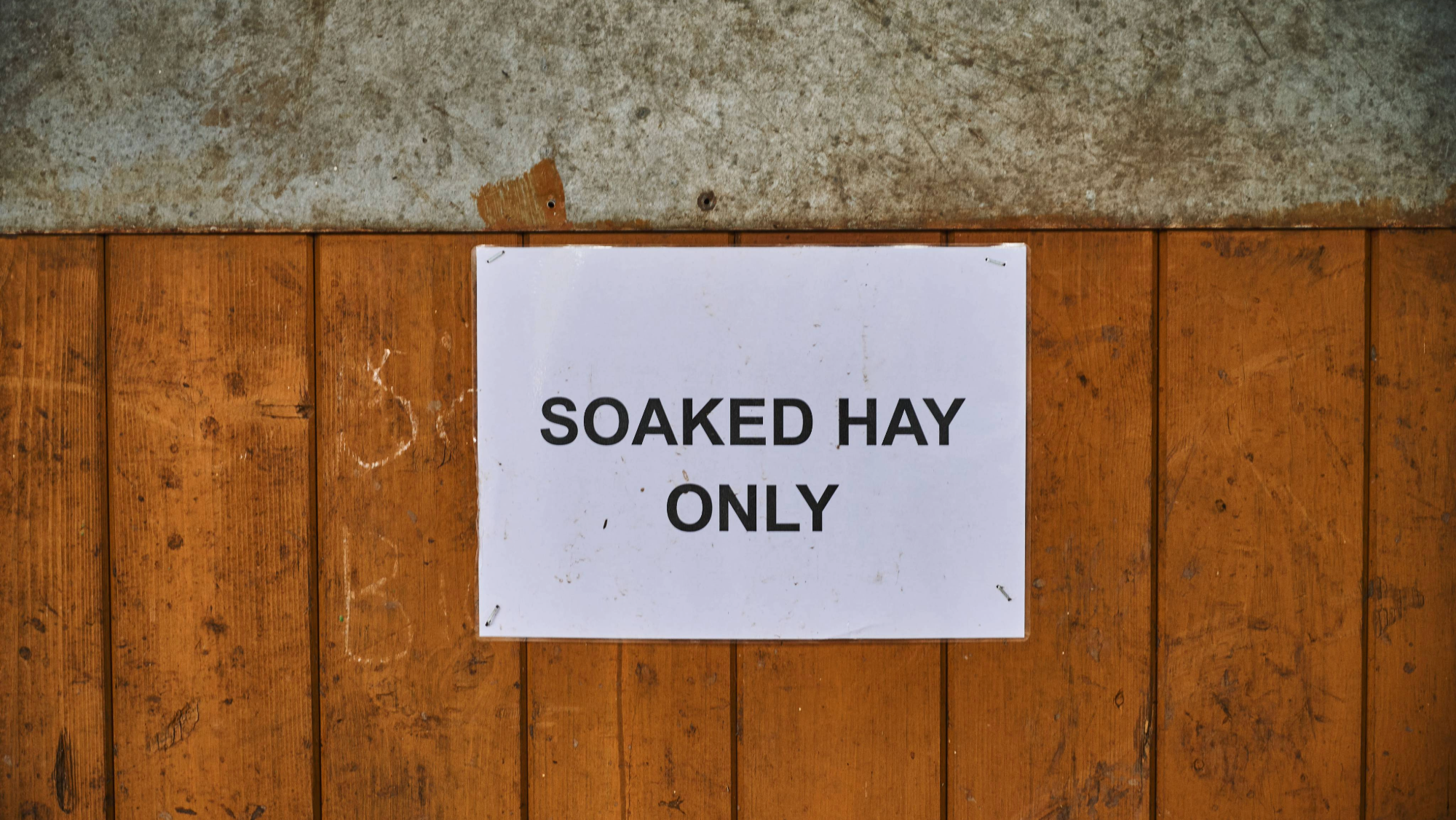 sign on a stable door reads 'soaked hay only'