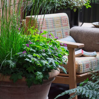 shady patio