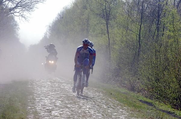 Quick Step team members in the Arenberg Forest.