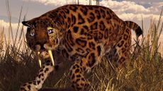 A computer-generated image of large saber-tooth cat in long grass 