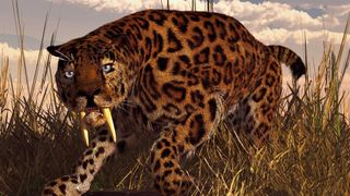 A computer-generated image of large saber-tooth cat in long grass 