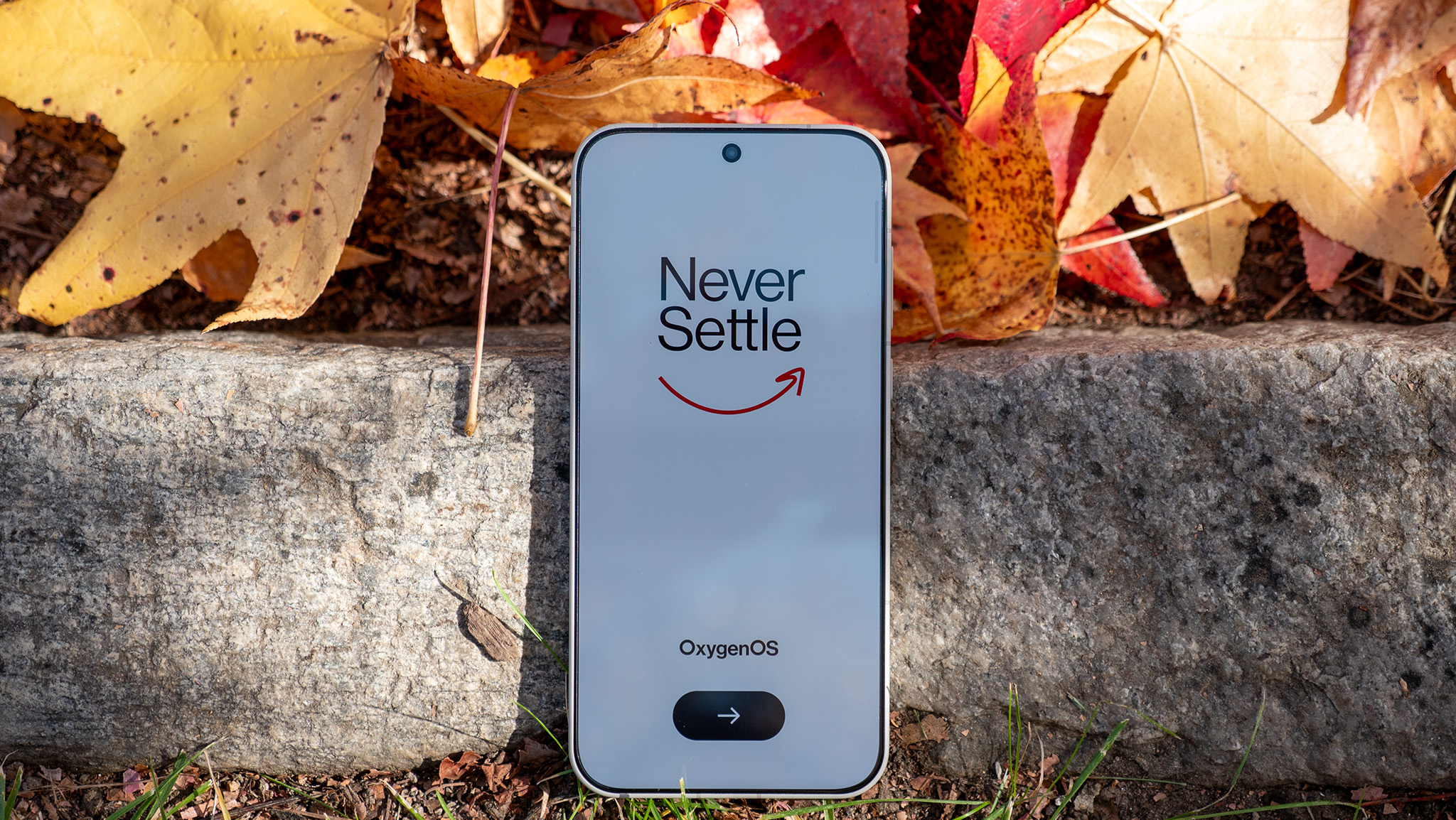 OnePlus's Never Settle motto on the OnePlus 15's display