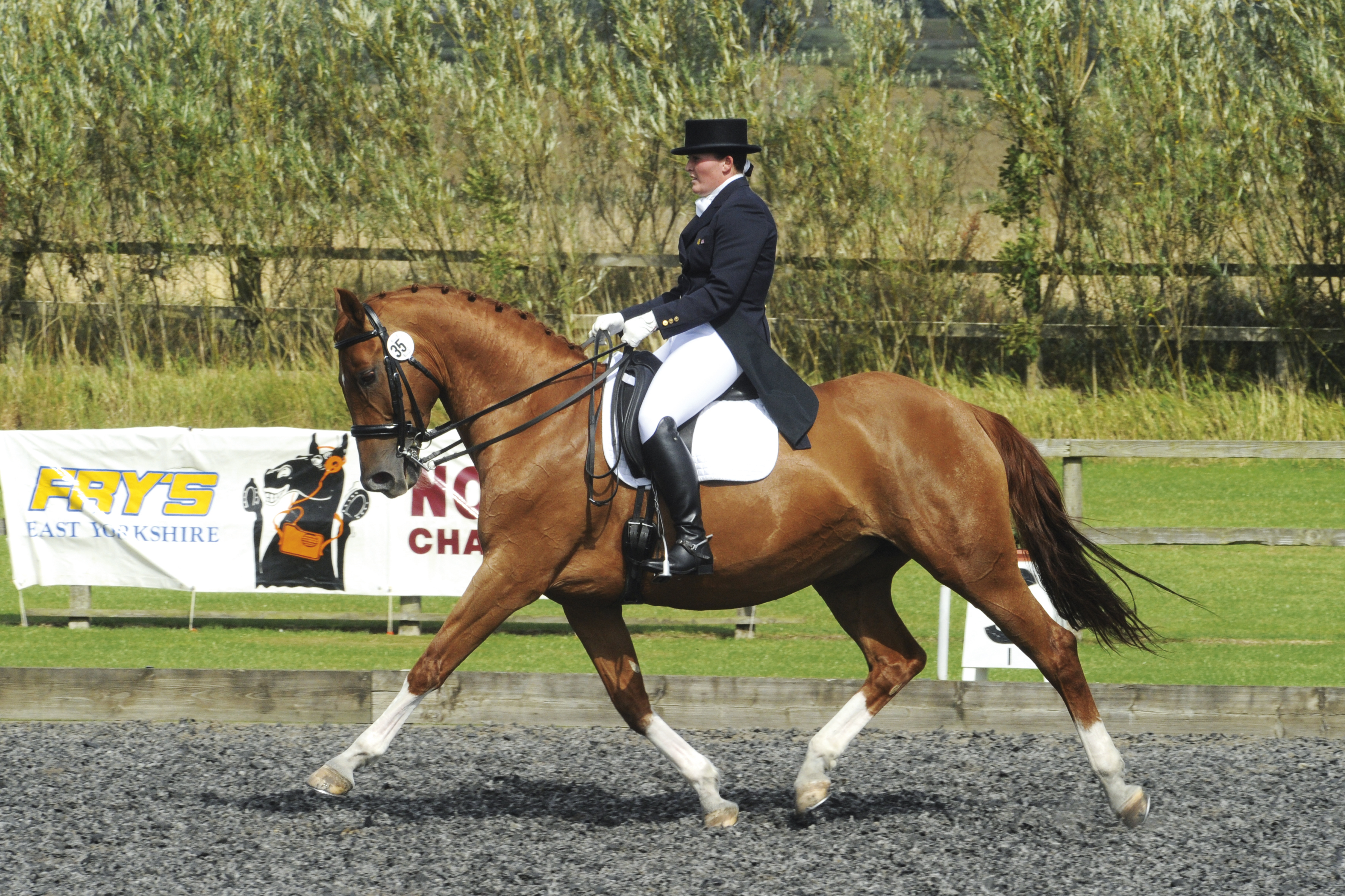 Frys-Equestrian.jpg