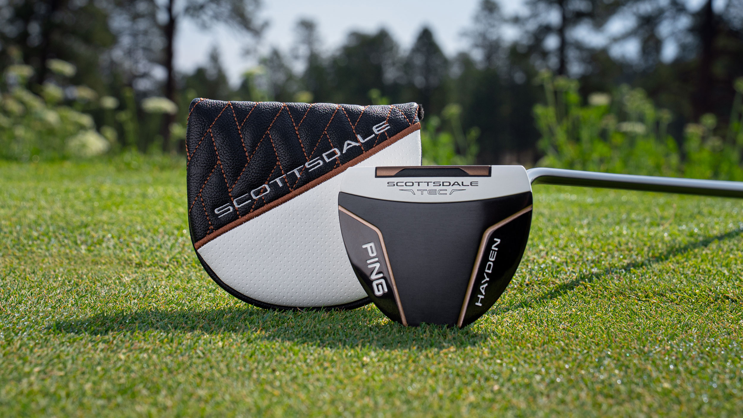 Ping Scottsdale TEC Hayden putter