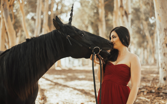 Unicorn-Corner-Image-5