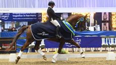 Margaret Jones and Dimagic at the Winter Dressage Championships 2023