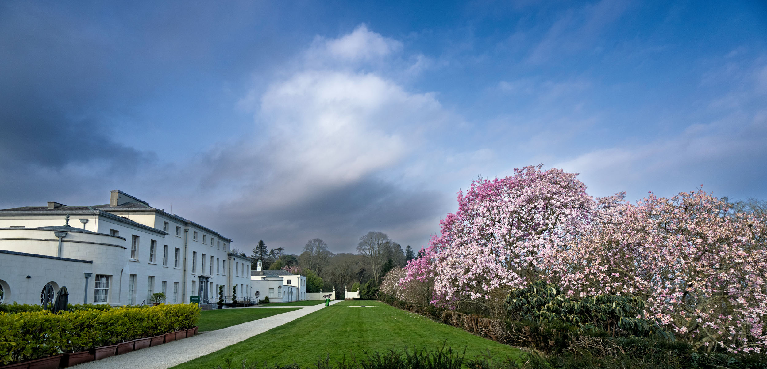 The garden of Mount Congreve