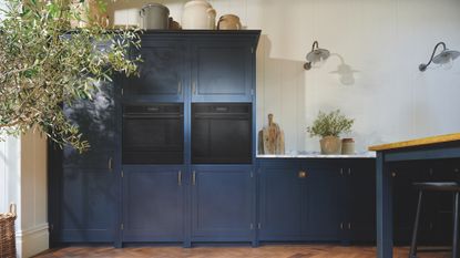 blue kitchen with cabinets and built-in ovens to support a guide on what you need to know before buying a self-cleaning oven