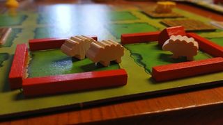 Photographs of the Agricola board game in play