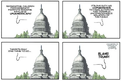 Political cartoon U.S. Congress inaction family separation Trump immigration policy border ICE