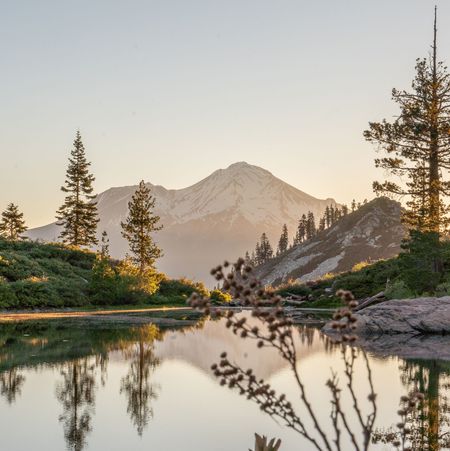 Mount Shasta and Lake