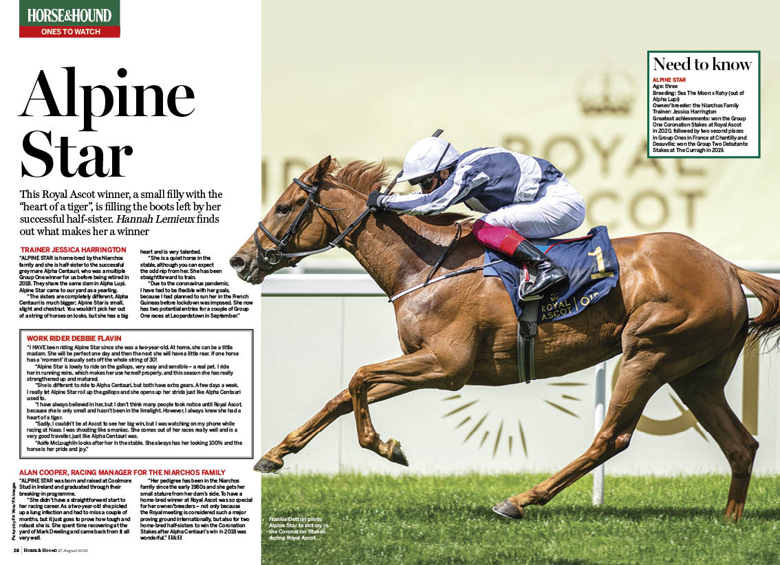 FT 2p Ones to watch (Alpine Star