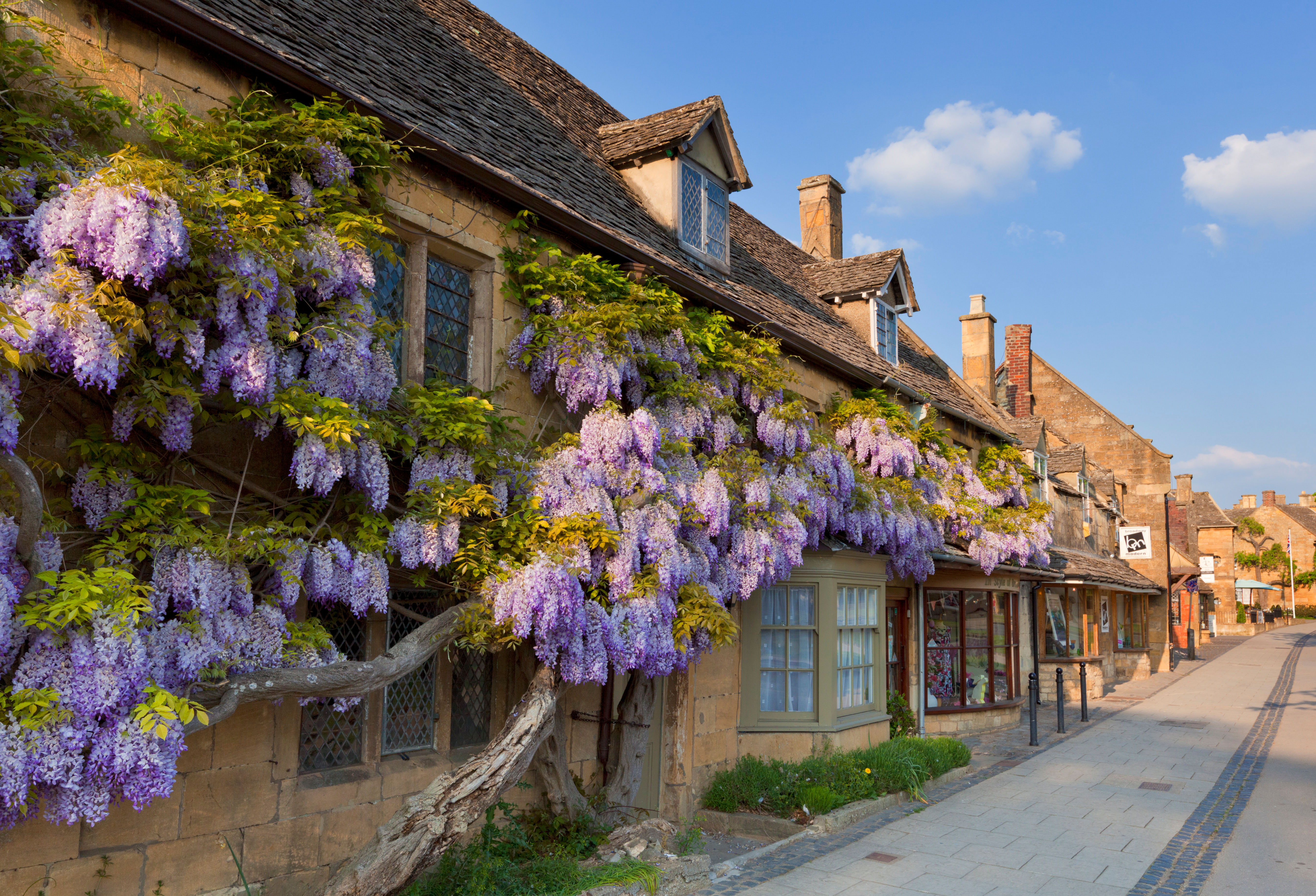 The idyllic image of cottages covered in flowering wisteria on a Cotswold stone wall. These homes are in the village of Broadway, but there are all sorts of other options for those looking to move to the Cotswolds.