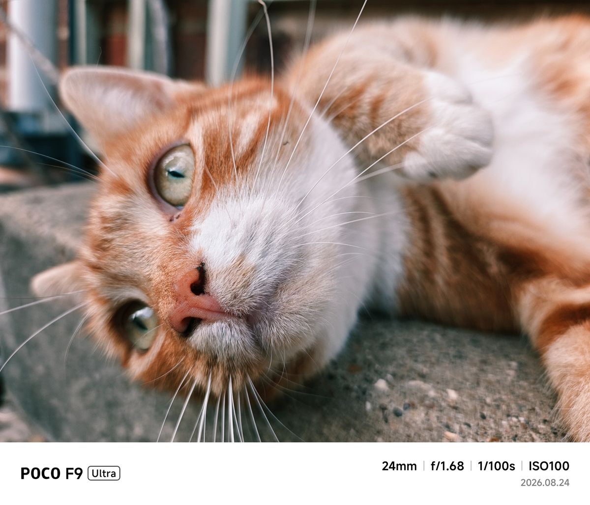 Poco F9 Ultra sample images