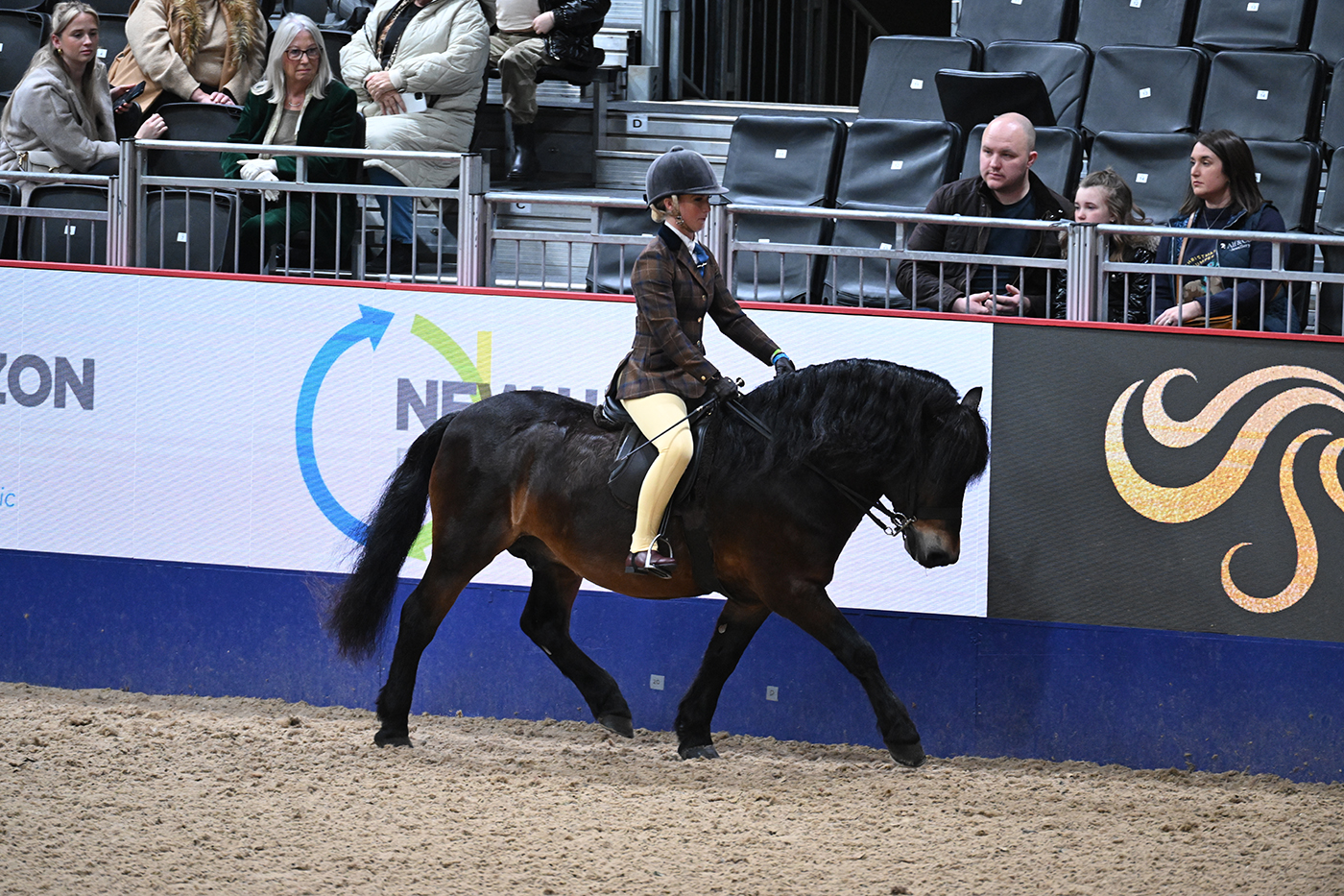 HorseNo34_LIHS_PN23_120722