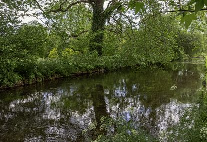 The River Test at Mottisfont, Hampshire.