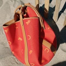 Celine bag
