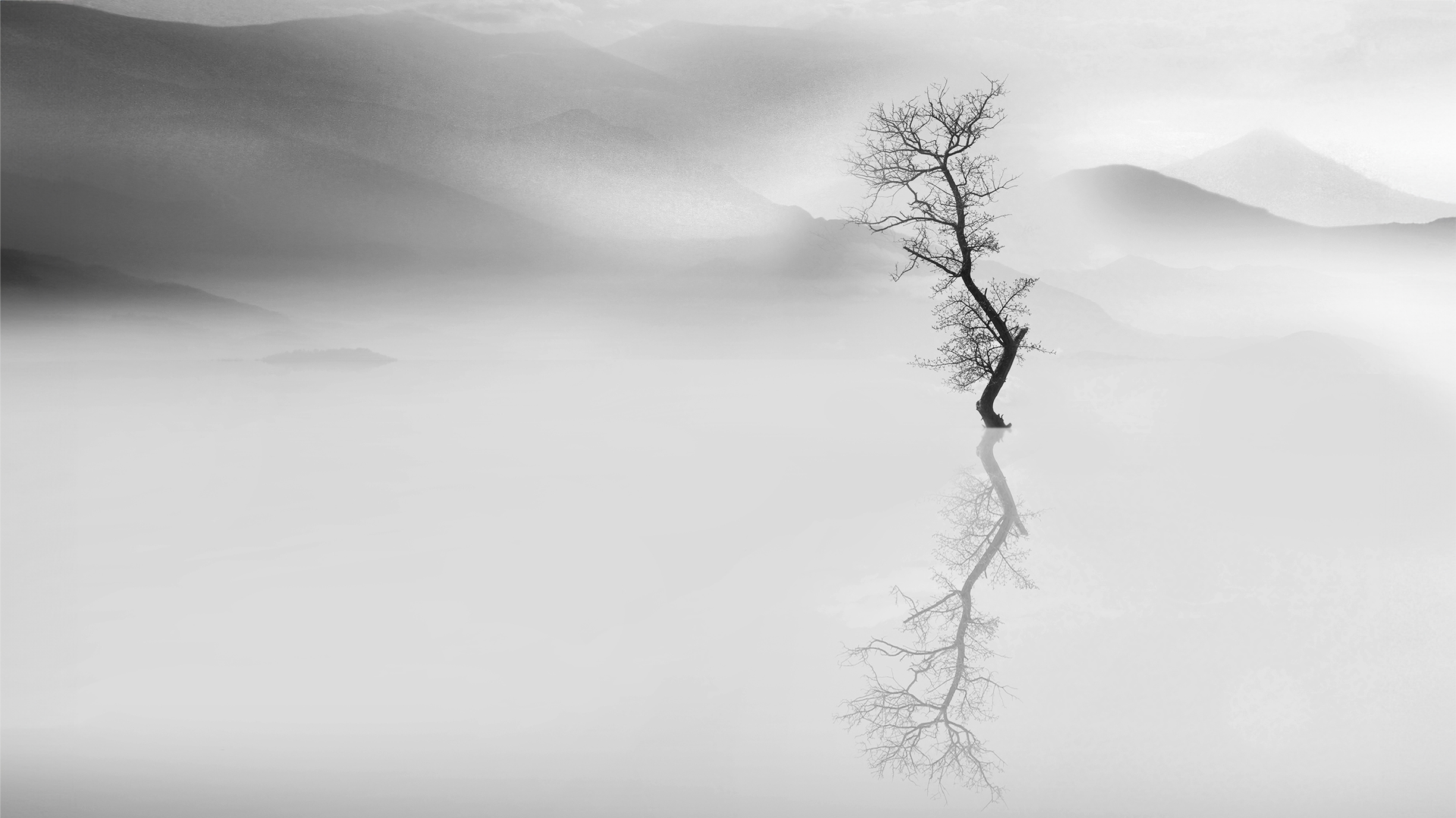 A solitary, bare tree stands in misty water, its reflection visible, with soft mountains fading into the background in black and white