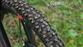 WTB Vigilante bike tire close up