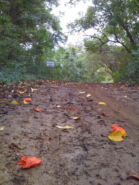 Before the rains came, it was just drying out for our preride. race day wasn't so nice.
