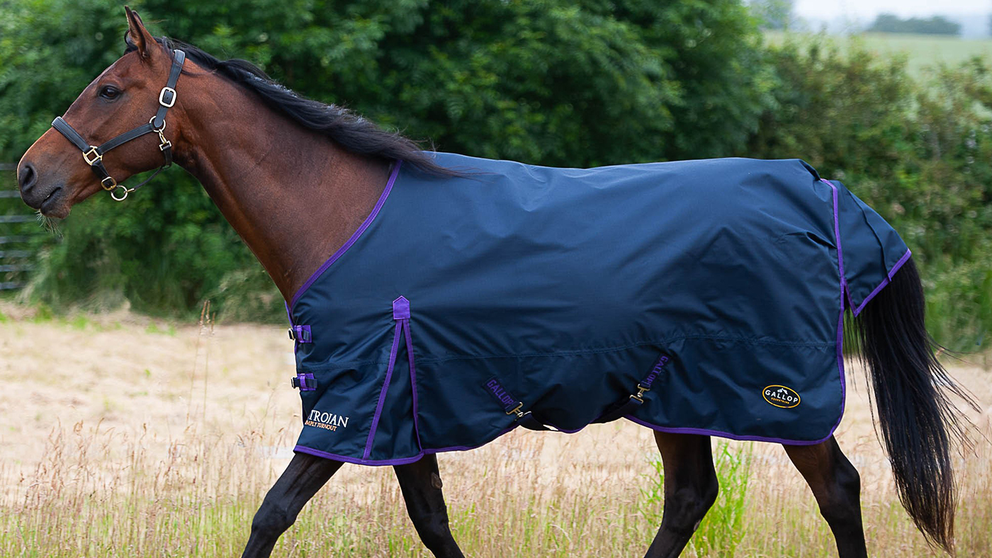 Gallop Trojan Lightweight Turnout rug