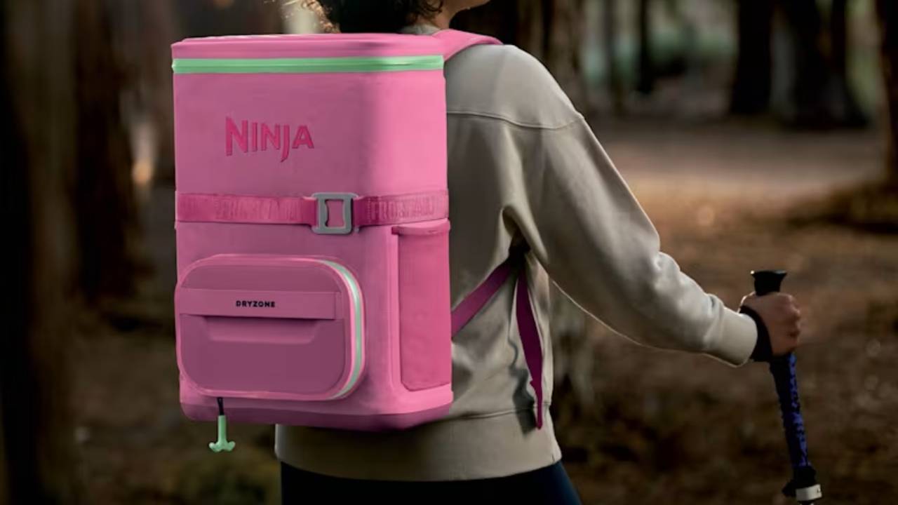 Ninja FrostVault Go